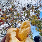 金絲雀 - クリームパン