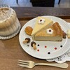 熟成チーズケーキカフェAnts' coffee company 大阪本町店