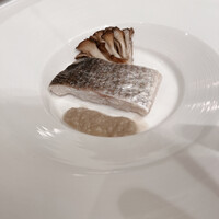 イル・テアトロ -  イル・テアトロ -