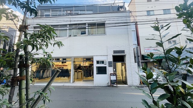 オレンジツリー（ORANGE TREE） - 広瀬通（ダイニングバー）の写真