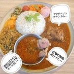 カリーアンダーソン - 