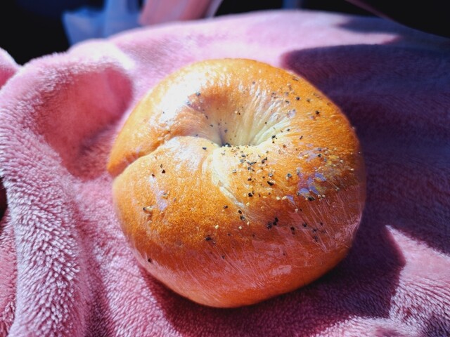 モノグル（Monogel） - 福島（ベーグル）の写真