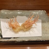 天冨良 よこ田 - 