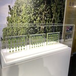 サントリー 天然水のビール工場 東京・武蔵野ブルワリー - ホップ