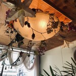 BLAKES for JOURNEY - 