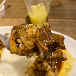 BLAKES for JOURNEY - 