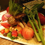 茶良ら - 本日の厳選野菜