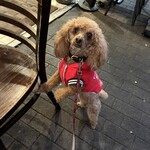 アガリコ 新宿 オリエンタルビストロ - ちょーだいポーズ