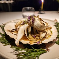 レフェルヴェソンス - 