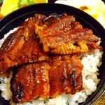 炭火焼うなぎ 東山物産 - 