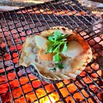 Scallops in the shell - grilled with butter and soy sauce -
