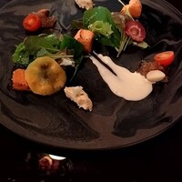 La tana nel Bosco - 