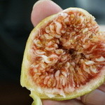 トモチコンフィチュール - みずみずしくてフレッシュ。