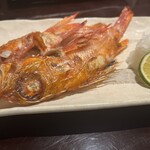 寿司肴地酒 天晴 - 