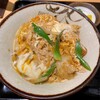 ニクスイハヤト - カツ丼(ライス少)