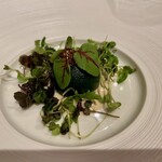 THE HIRAMATSU HOTELS&RESORTS - ほうれん草を纏ったクヌギ鱒の軽いムース　ディル風味のソースノイリー