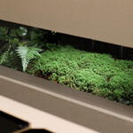 道人 - ２０２３年１１月再訪：内観☆