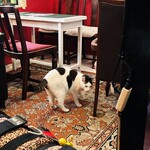 カフェーマル - 