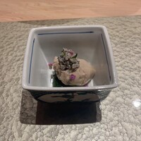鮨 富かわ - 