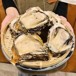 Rock Oyster with ponzu sauce