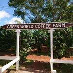 Green World Coffee Farm - 