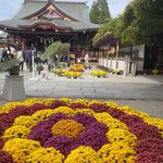 ベトナム料理 アオババ  - 