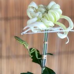 ベトナム料理 アオババ  - 