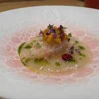 Selvaggio - 