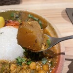 スパイスカレー あかつ亭 - 大根とサバのカレー