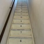 はらドーナッツ - 