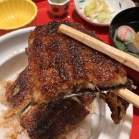 鰻う おか冨士 - 