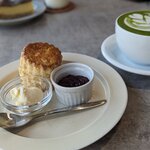 ゼンタコーヒー - 