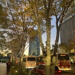 米増 - もうクリスマスシーズン