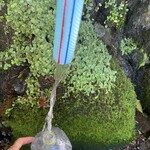 米増 - 参考写真、御神水を汲んでからいきます