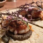 INUI - 赤海老のグリル・ンドゥイヤ 焦がし茄子のピュレ サルサマチャ イカ墨とホワイト・コーンのトルティーヤ