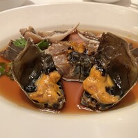 潮夢来 - 