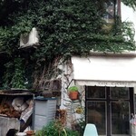 カフェ ココット - 蔦のからまる白い建物