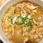 Kare Udon Hikari - 4層のひかりカレーうどん
                      1300円