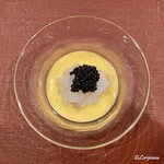御料理 寺沢 - 黄身酢で味わう薄く包丁が入れられた障泥烏賊にキャビア