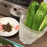 たれ焼肉 金肉屋 - 冷やしピーマン