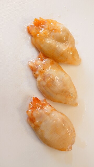 気仙沼 海の市 - 南気仙沼（その他）の写真