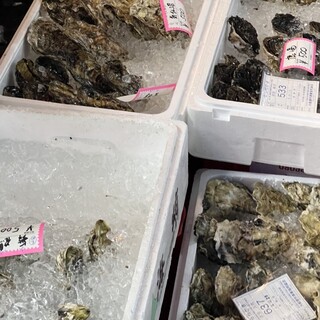 おさかな 魚四季_0