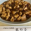 龍の子 - 料理写真:四川麻婆豆腐