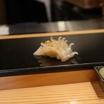 鮨と天草大王 天音 - 槍烏賊