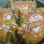 上海朱峰 - 当店名物！他では味えない上海ガニをご堪能ください。