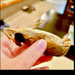 郷土料理ともん - こんなにおなかがカマキリのメスのように膨らんでます　byまみこまみこ