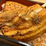 Honkaku Unagi Unashima - 