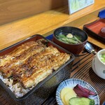 Ikiunagi - 