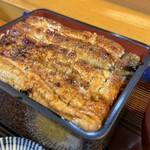 Ikiunagi - 