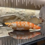 鮨 くまくら - 天然車海老